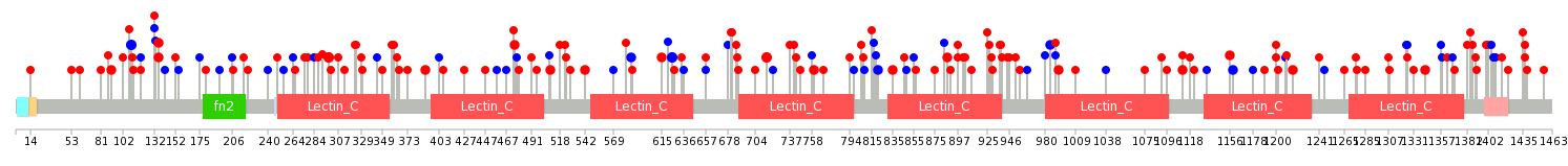 We used uniprot protein structure data from ensemble BioMart database. The size of circle shows the relative mutation number.