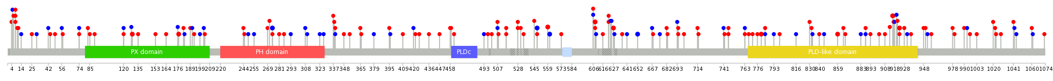 We used uniprot protein structure data from ensemble BioMart database. The size of circle shows the relative mutation number.