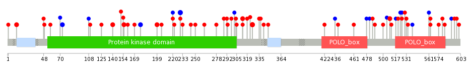 We used uniprot protein structure data from ensemble BioMart database. The size of circle shows the relative mutation number.