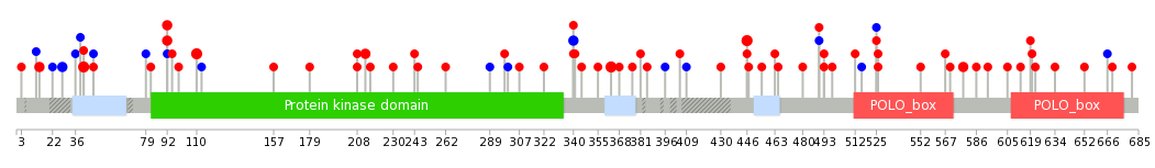 We used uniprot protein structure data from ensemble BioMart database. The size of circle shows the relative mutation number.