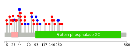 We used uniprot protein structure data from ensemble BioMart database. The size of circle shows the relative mutation number.