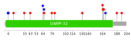 We used uniprot protein structure data from ensemble BioMart database. The size of circle shows the relative mutation number.