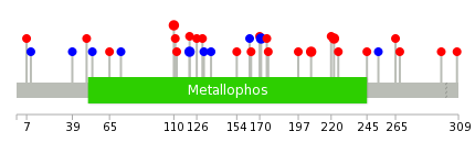 We used uniprot protein structure data from ensemble BioMart database. The size of circle shows the relative mutation number.