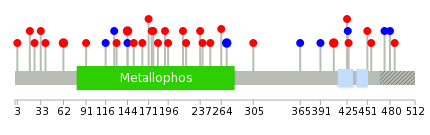 We used uniprot protein structure data from ensemble BioMart database. The size of circle shows the relative mutation number.