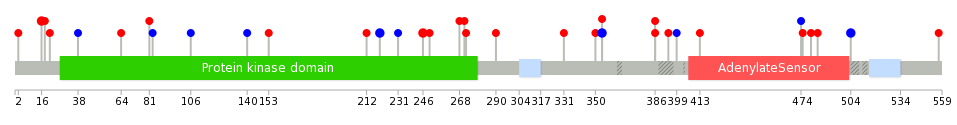 We used uniprot protein structure data from ensemble BioMart database. The size of circle shows the relative mutation number.