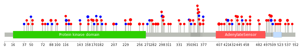 We used uniprot protein structure data from ensemble BioMart database. The size of circle shows the relative mutation number.