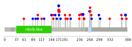 We used uniprot protein structure data from ensemble BioMart database. The size of circle shows the relative mutation number.