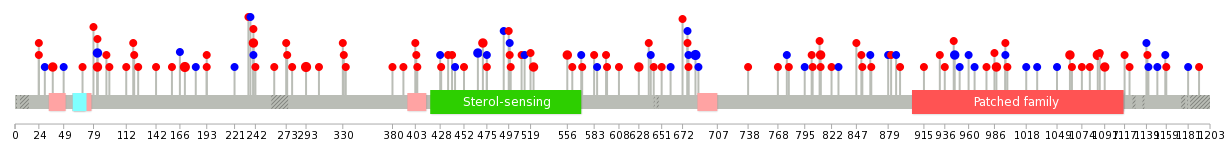 We used uniprot protein structure data from ensemble BioMart database. The size of circle shows the relative mutation number.