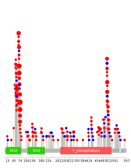 We used uniprot protein structure data from ensemble BioMart database. The size of circle shows the relative mutation number.