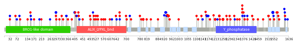 We used uniprot protein structure data from ensemble BioMart database. The size of circle shows the relative mutation number.