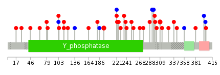 We used uniprot protein structure data from ensemble BioMart database. The size of circle shows the relative mutation number.