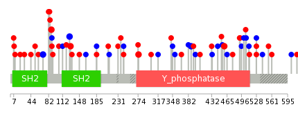 We used uniprot protein structure data from ensemble BioMart database. The size of circle shows the relative mutation number.