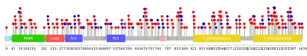 We used uniprot protein structure data from ensemble BioMart database. The size of circle shows the relative mutation number.