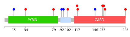 We used uniprot protein structure data from ensemble BioMart database. The size of circle shows the relative mutation number.