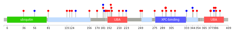 We used uniprot protein structure data from ensemble BioMart database. The size of circle shows the relative mutation number.