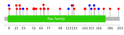 We used uniprot protein structure data from ensemble BioMart database. The size of circle shows the relative mutation number.