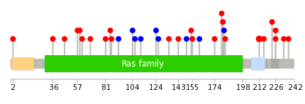 We used uniprot protein structure data from ensemble BioMart database. The size of circle shows the relative mutation number.