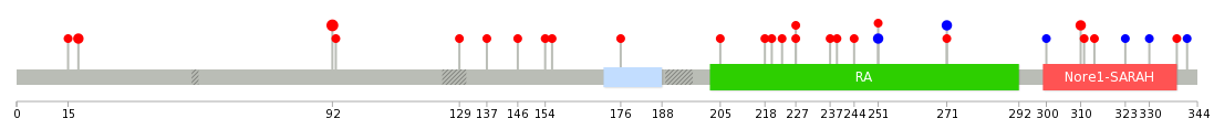 We used uniprot protein structure data from ensemble BioMart database. The size of circle shows the relative mutation number.