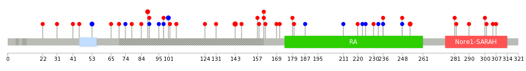 We used uniprot protein structure data from ensemble BioMart database. The size of circle shows the relative mutation number.