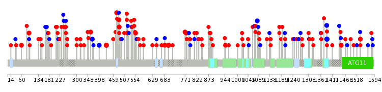 We used uniprot protein structure data from ensemble BioMart database. The size of circle shows the relative mutation number.