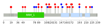 We used uniprot protein structure data from ensemble BioMart database. The size of circle shows the relative mutation number.