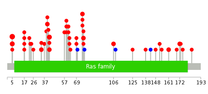 We used uniprot protein structure data from ensemble BioMart database. The size of circle shows the relative mutation number.