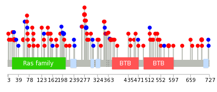 We used uniprot protein structure data from ensemble BioMart database. The size of circle shows the relative mutation number.