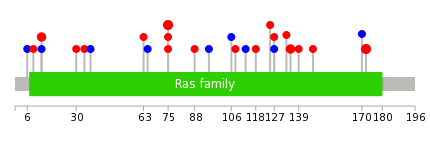 We used uniprot protein structure data from ensemble BioMart database. The size of circle shows the relative mutation number.