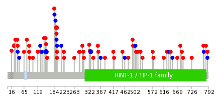 We used uniprot protein structure data from ensemble BioMart database. The size of circle shows the relative mutation number.