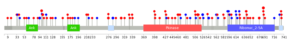 We used uniprot protein structure data from ensemble BioMart database. The size of circle shows the relative mutation number.