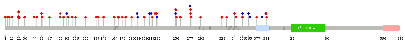 We used uniprot protein structure data from ensemble BioMart database. The size of circle shows the relative mutation number.