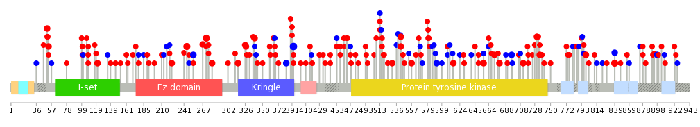 We used uniprot protein structure data from ensemble BioMart database. The size of circle shows the relative mutation number.