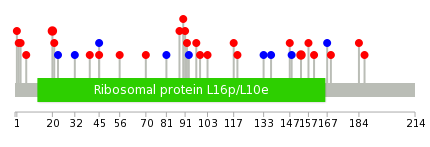 We used uniprot protein structure data from ensemble BioMart database. The size of circle shows the relative mutation number.