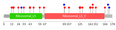 We used uniprot protein structure data from ensemble BioMart database. The size of circle shows the relative mutation number.