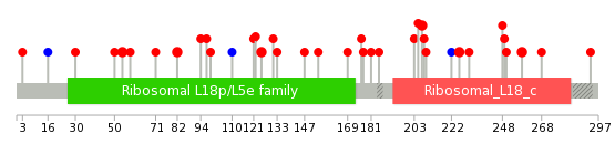 We used uniprot protein structure data from ensemble BioMart database. The size of circle shows the relative mutation number.