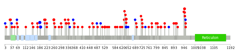 We used uniprot protein structure data from ensemble BioMart database. The size of circle shows the relative mutation number.