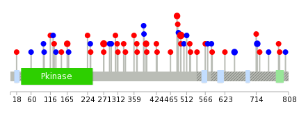 We used uniprot protein structure data from ensemble BioMart database. The size of circle shows the relative mutation number.