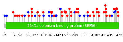 We used uniprot protein structure data from ensemble BioMart database. The size of circle shows the relative mutation number.