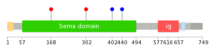 We used uniprot protein structure data from ensemble BioMart database. The size of circle shows the relative mutation number.