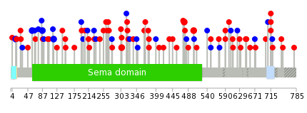 We used uniprot protein structure data from ensemble BioMart database. The size of circle shows the relative mutation number.