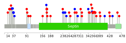 We used uniprot protein structure data from ensemble BioMart database. The size of circle shows the relative mutation number.