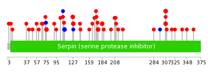 We used uniprot protein structure data from ensemble BioMart database. The size of circle shows the relative mutation number.