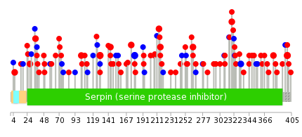 We used uniprot protein structure data from ensemble BioMart database. The size of circle shows the relative mutation number.