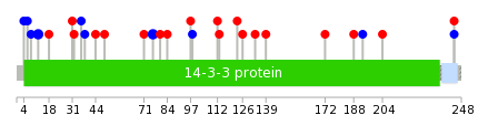 We used uniprot protein structure data from ensemble BioMart database. The size of circle shows the relative mutation number.