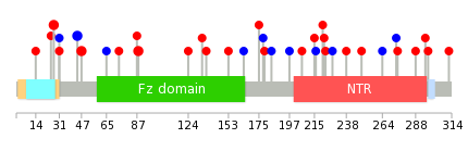 We used uniprot protein structure data from ensemble BioMart database. The size of circle shows the relative mutation number.