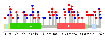 We used uniprot protein structure data from ensemble BioMart database. The size of circle shows the relative mutation number.