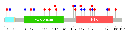 We used uniprot protein structure data from ensemble BioMart database. The size of circle shows the relative mutation number.