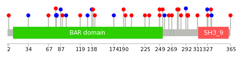 We used uniprot protein structure data from ensemble BioMart database. The size of circle shows the relative mutation number.