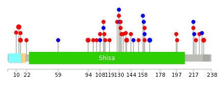 We used uniprot protein structure data from ensemble BioMart database. The size of circle shows the relative mutation number.