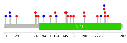 We used uniprot protein structure data from ensemble BioMart database. The size of circle shows the relative mutation number.